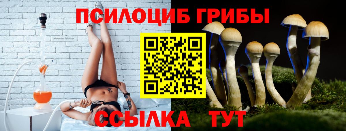 Жуковский  где найти   Псилоцибиновые грибы прущие грибы  Вход с VPN  Галлюциногенные грибы GOLDEN TEACHER 