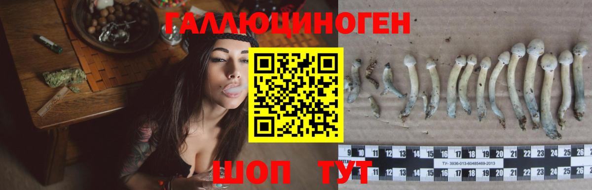 ГЕРОИН  A-PVP СОЛЬ   Мефедрон кристаллы  Каннабис  Экстази  Вход с VPN  Жуковский  Каннабис  Кокаин 