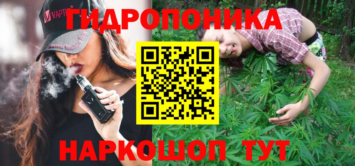 Бошки Шишки план  Вход с VPN  Бошки марихуана тримм  Жуковский  Бошки Шишки White Widow  МАРИХУАНА SATIVA & INDICA 