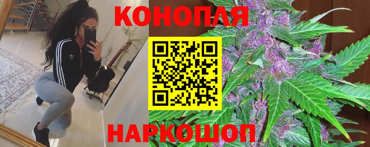 Каннабис OG Kush Жуковский